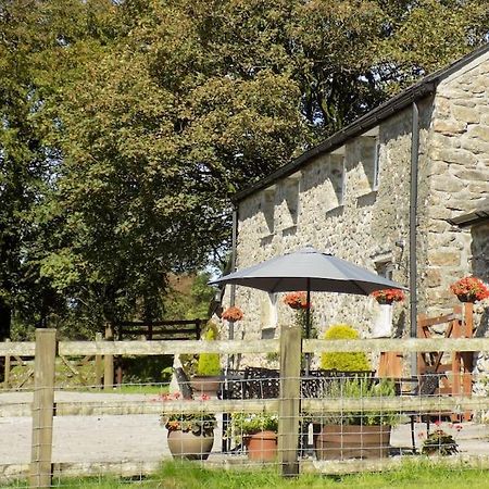 Lower Willsworthy Cottage تافيستوك المظهر الخارجي الصورة