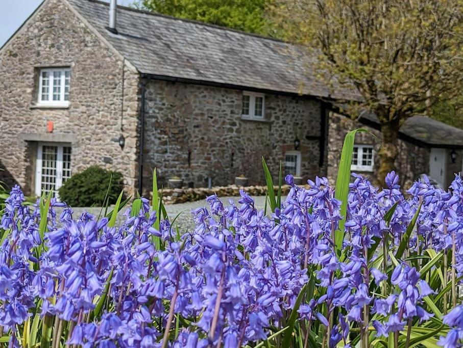 Lower Willsworthy Cottage تافيستوك المظهر الخارجي الصورة