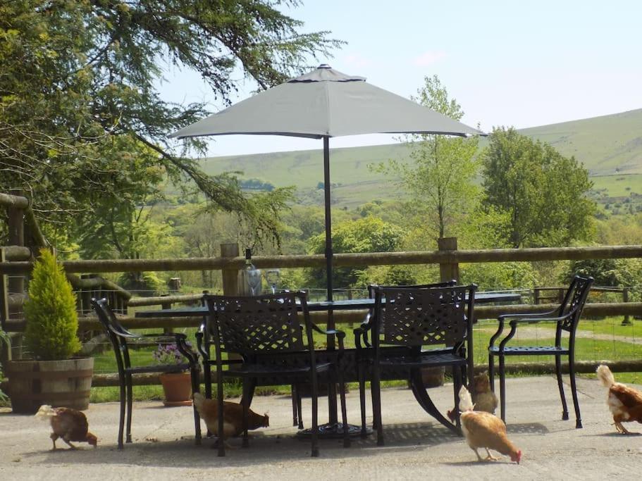 Lower Willsworthy Cottage تافيستوك المظهر الخارجي الصورة