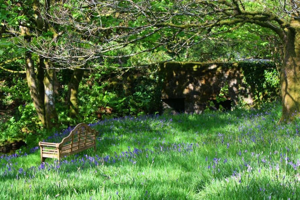 Lower Willsworthy Cottage تافيستوك المظهر الخارجي الصورة