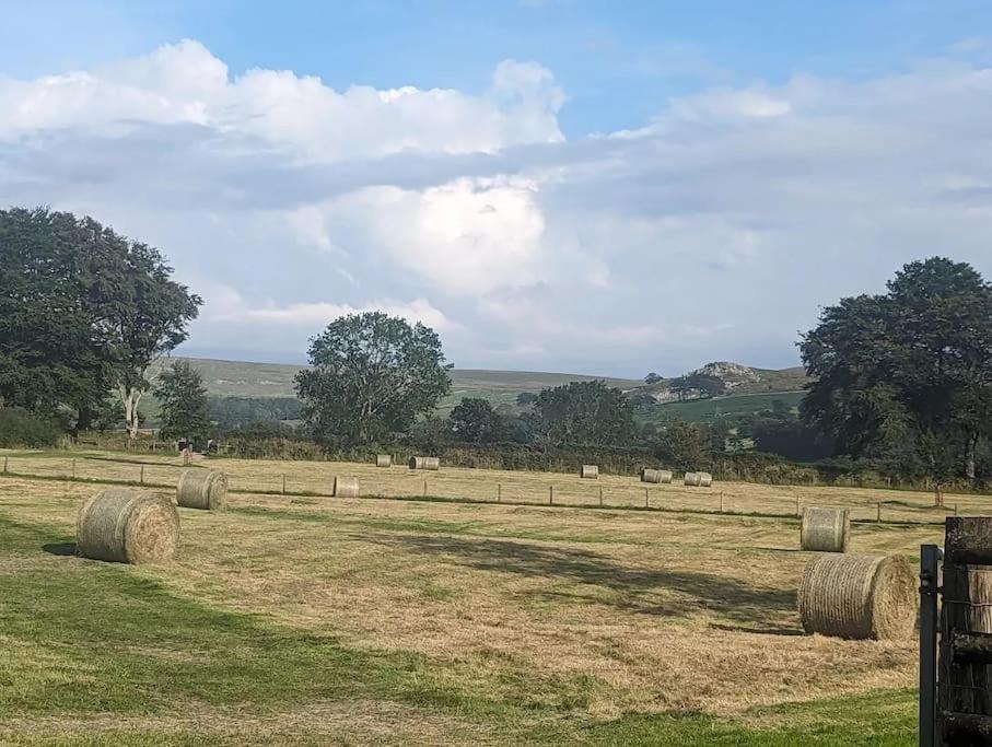 Lower Willsworthy Cottage تافيستوك المظهر الخارجي الصورة