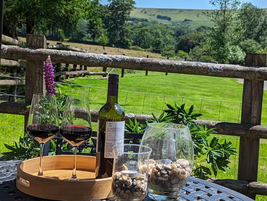 Lower Willsworthy Cottage تافيستوك المظهر الخارجي الصورة