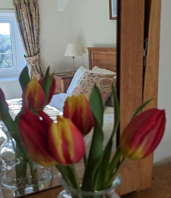 Lower Willsworthy Cottage تافيستوك المظهر الخارجي الصورة