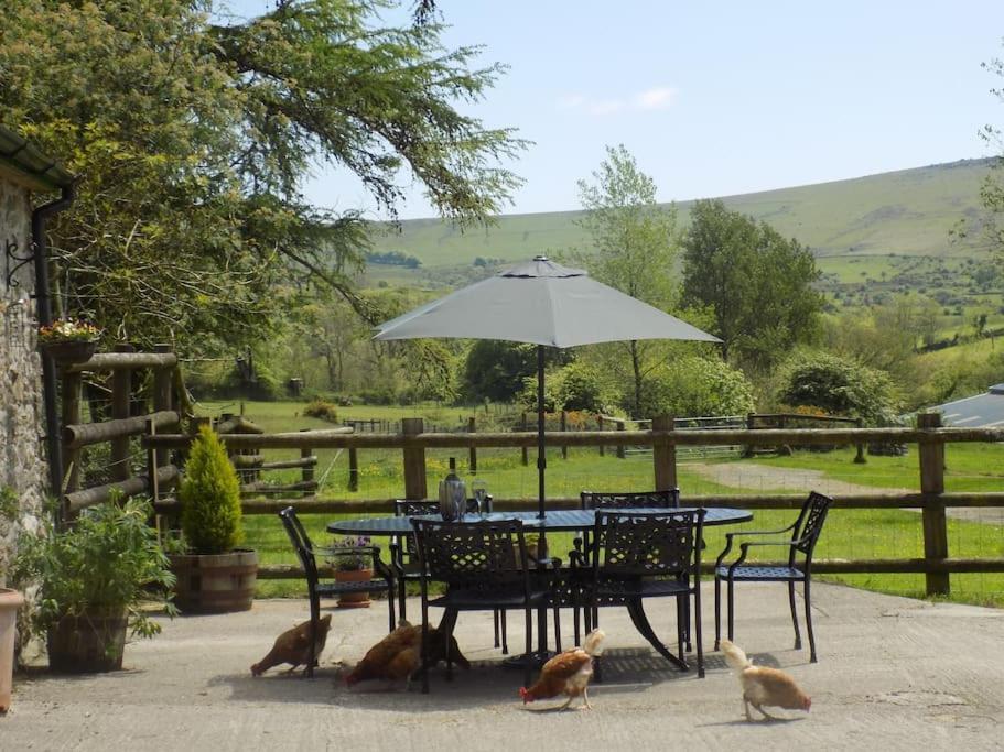 Lower Willsworthy Cottage تافيستوك المظهر الخارجي الصورة